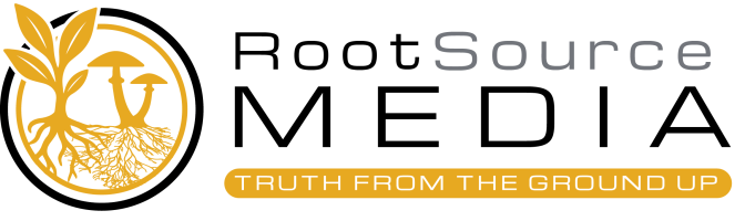RSM Logo V2